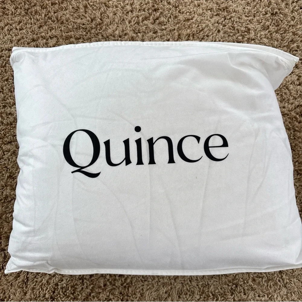 Quince Luxe Goose Down Comforter All Season Duvet Insert
